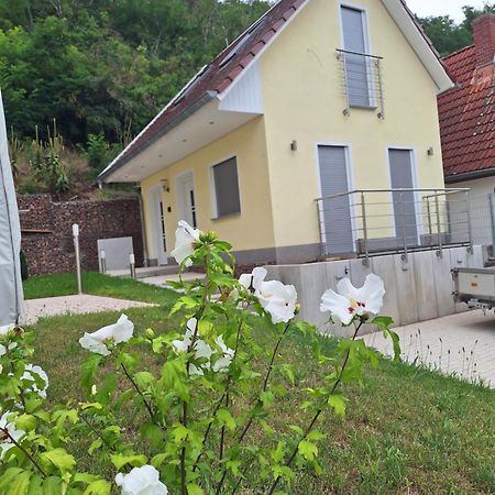 Ferienhaus Saaleblick Wettin 외부 사진
