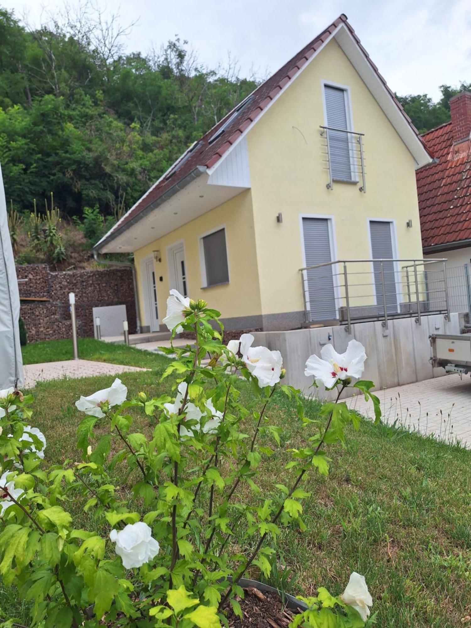 Ferienhaus Saaleblick Wettin 외부 사진